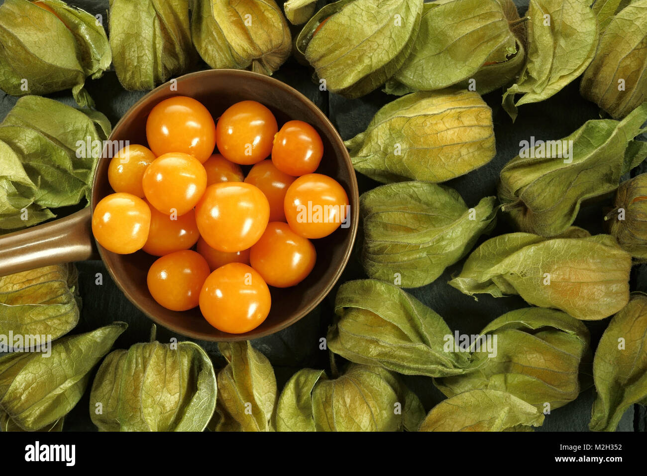 Physalis, exotic fruit, copper saucepan with yellow-orange fruits in green leaves Stock Photo