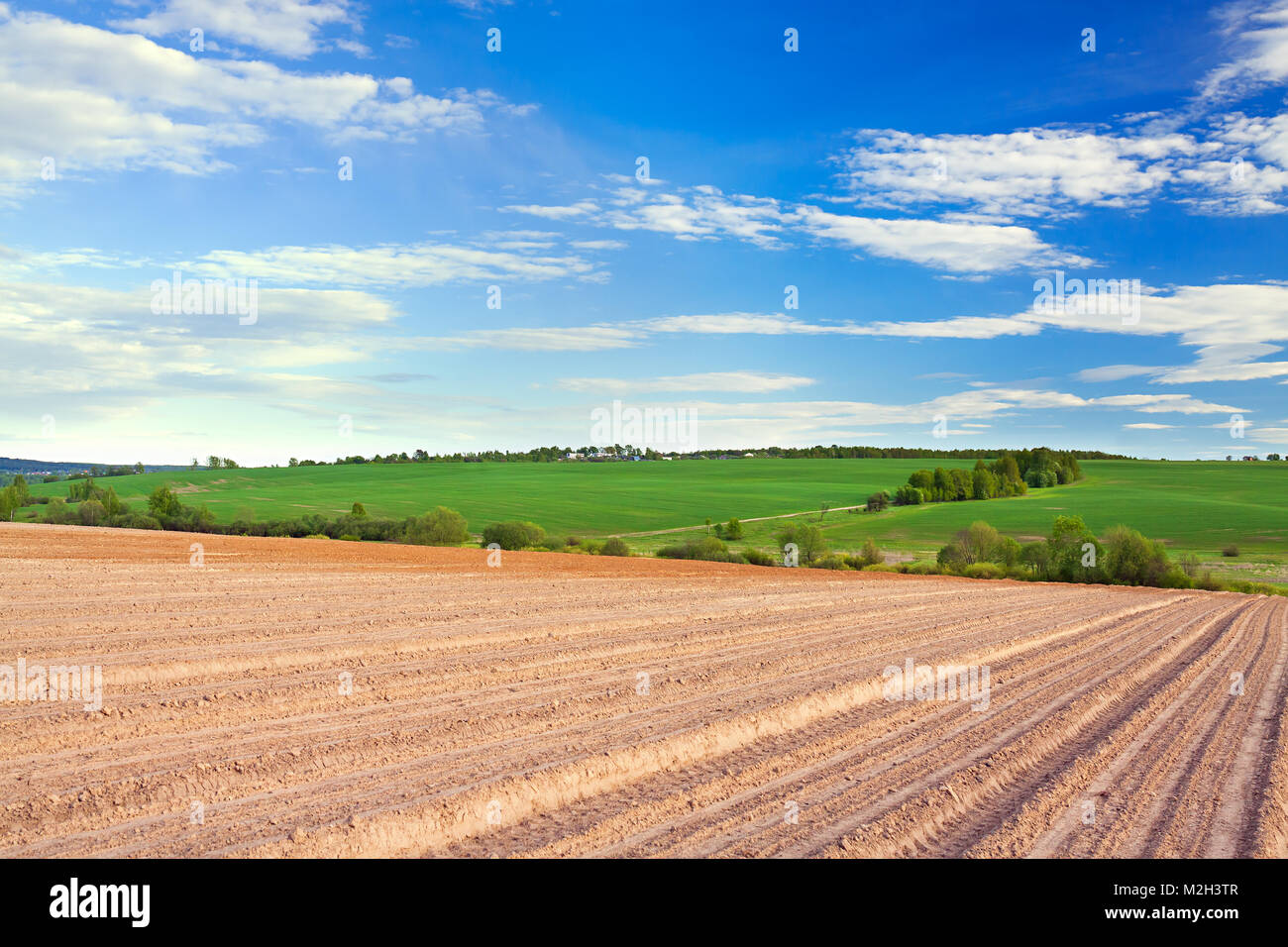 spring of landscape with ploughed field and blue sky with white clouds ...
