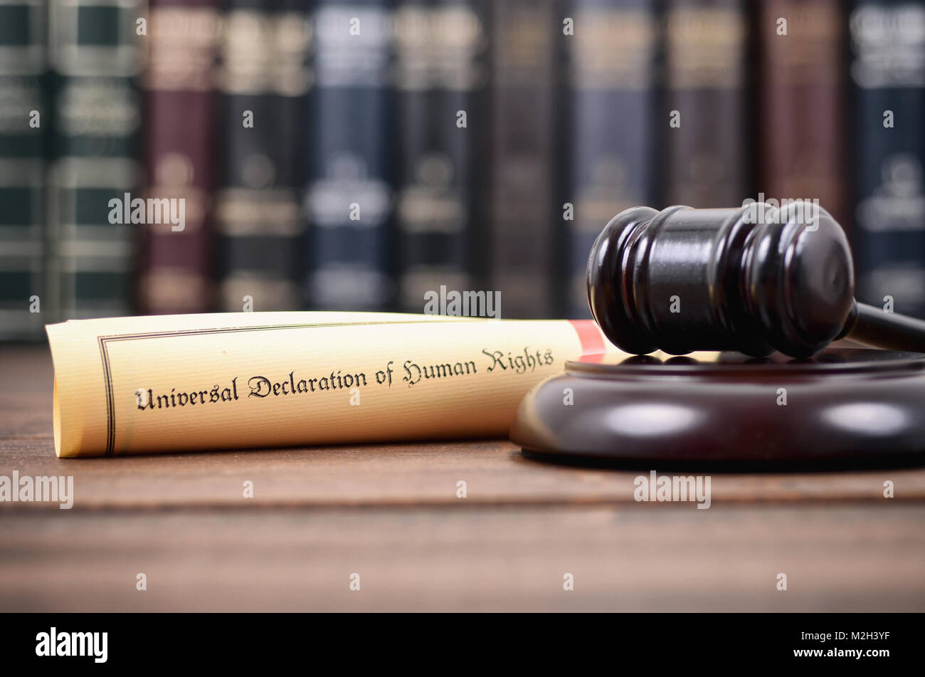 Law and Justice, Legality concept, Judge Gavel and Universal Declaration of Human Rights. Stock Photo