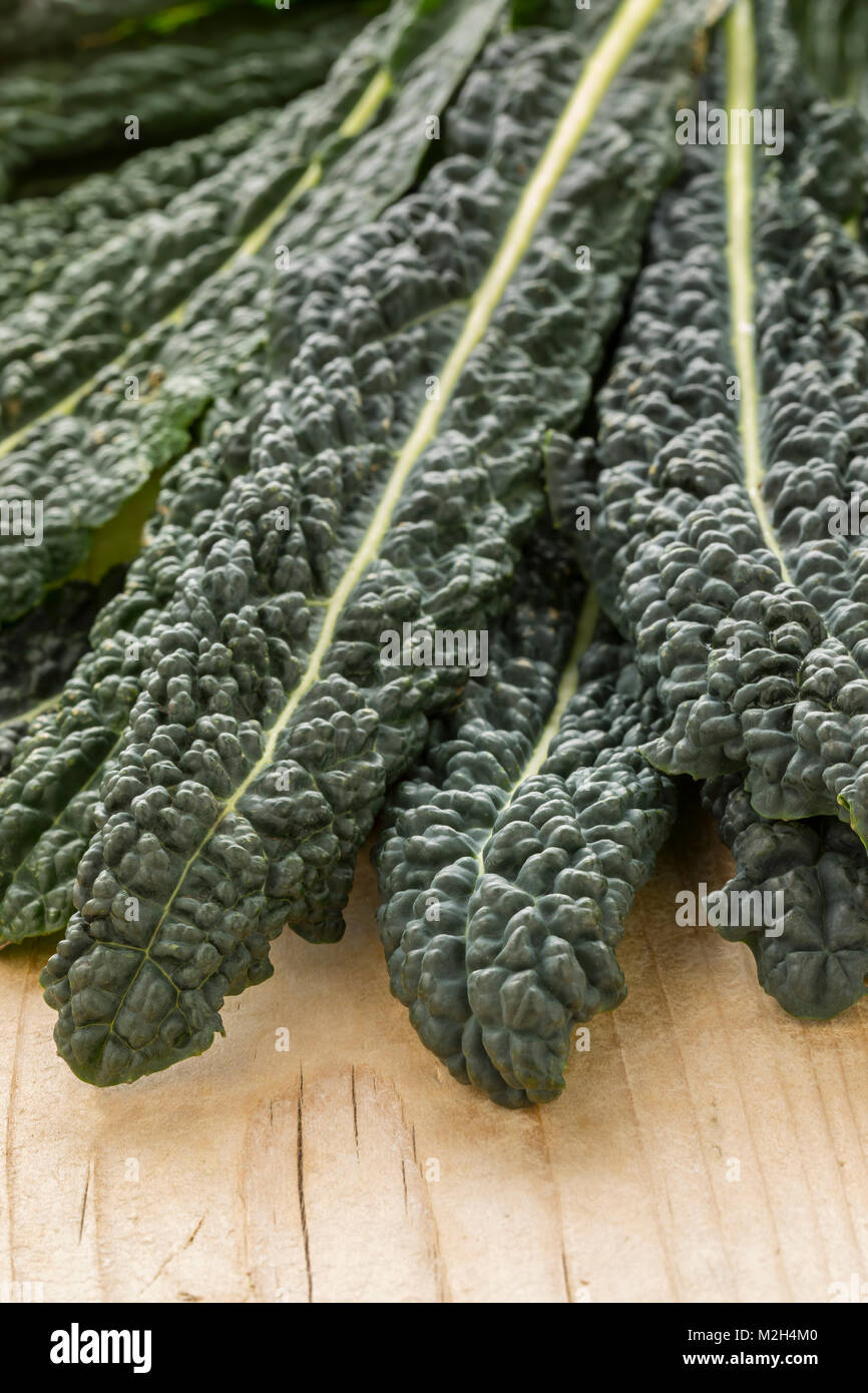 Heap of fresh raw cavolo nero leaves Stock Photo