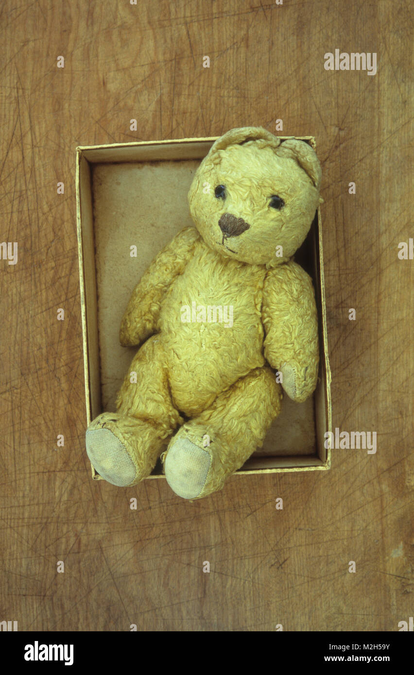 Vintage well worn pale golden teddy bear lying in box which is too small Stock Photo