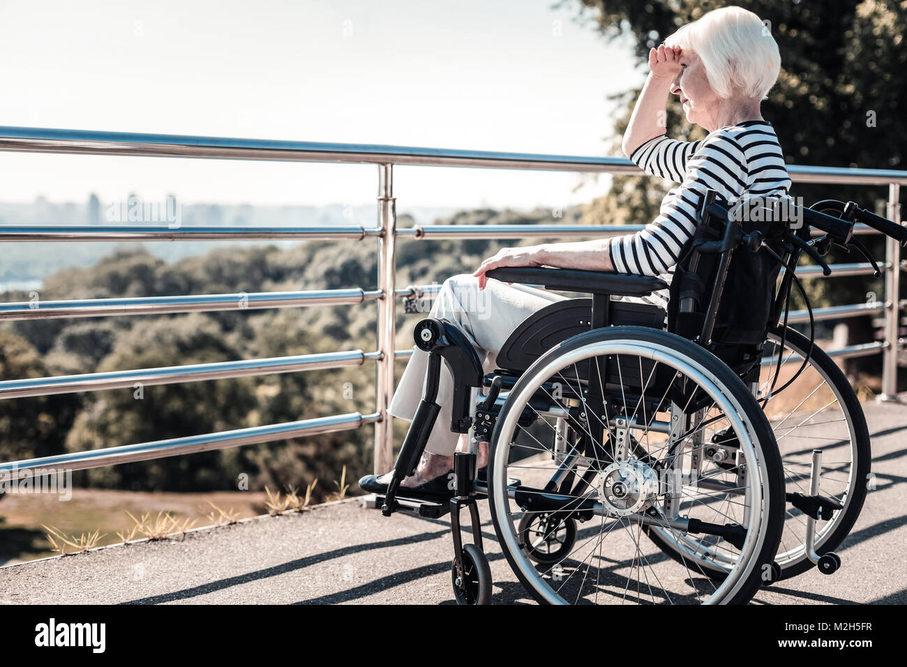Nice elderly woman looking at the view Stock Photo