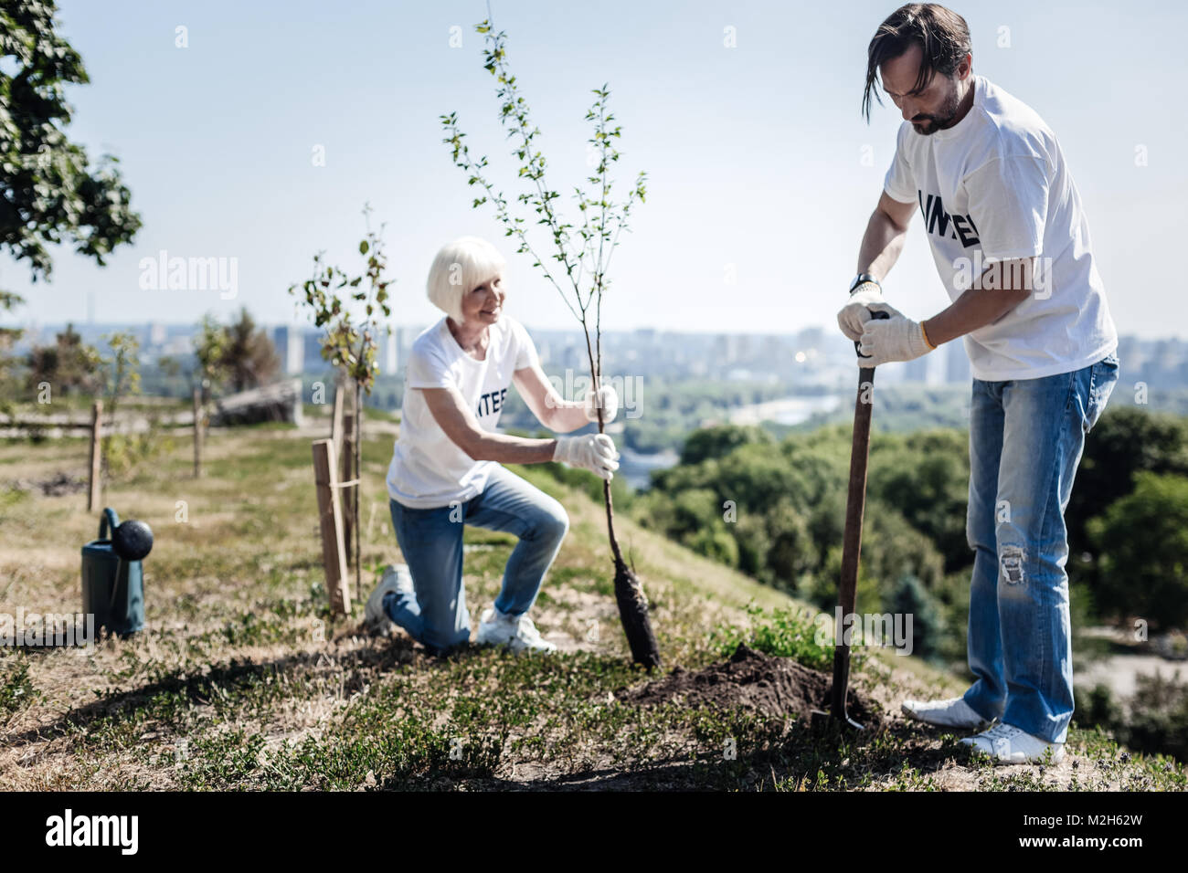 Planting trees hi-res stock photography and images - Alamy