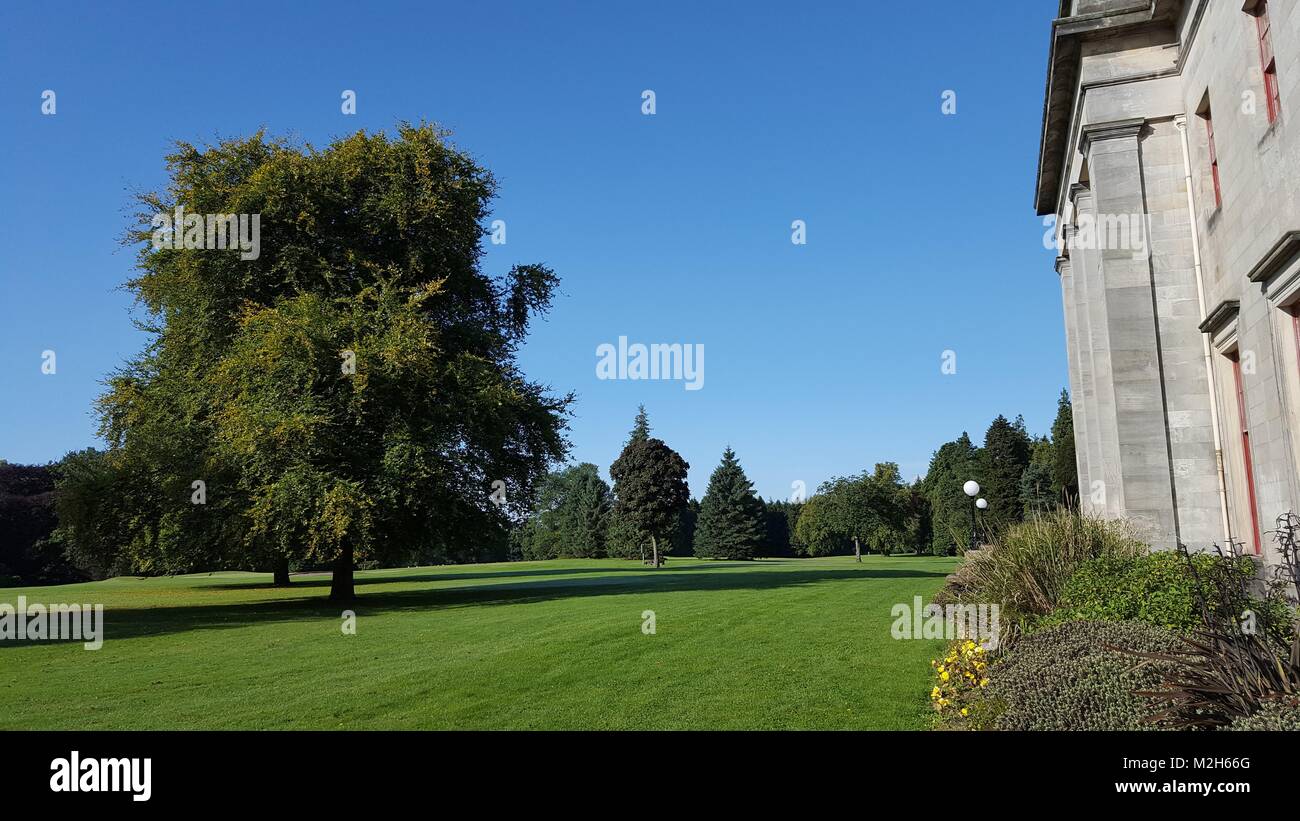 Building and trees, Camperdown Country Park, Dundee Stock Photo Alamy