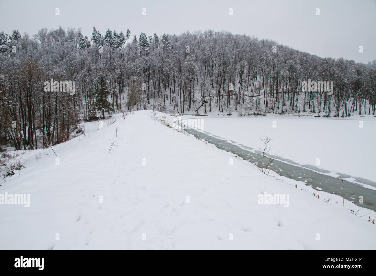 Winter in forest frozen lake Stock Photo - Alamy