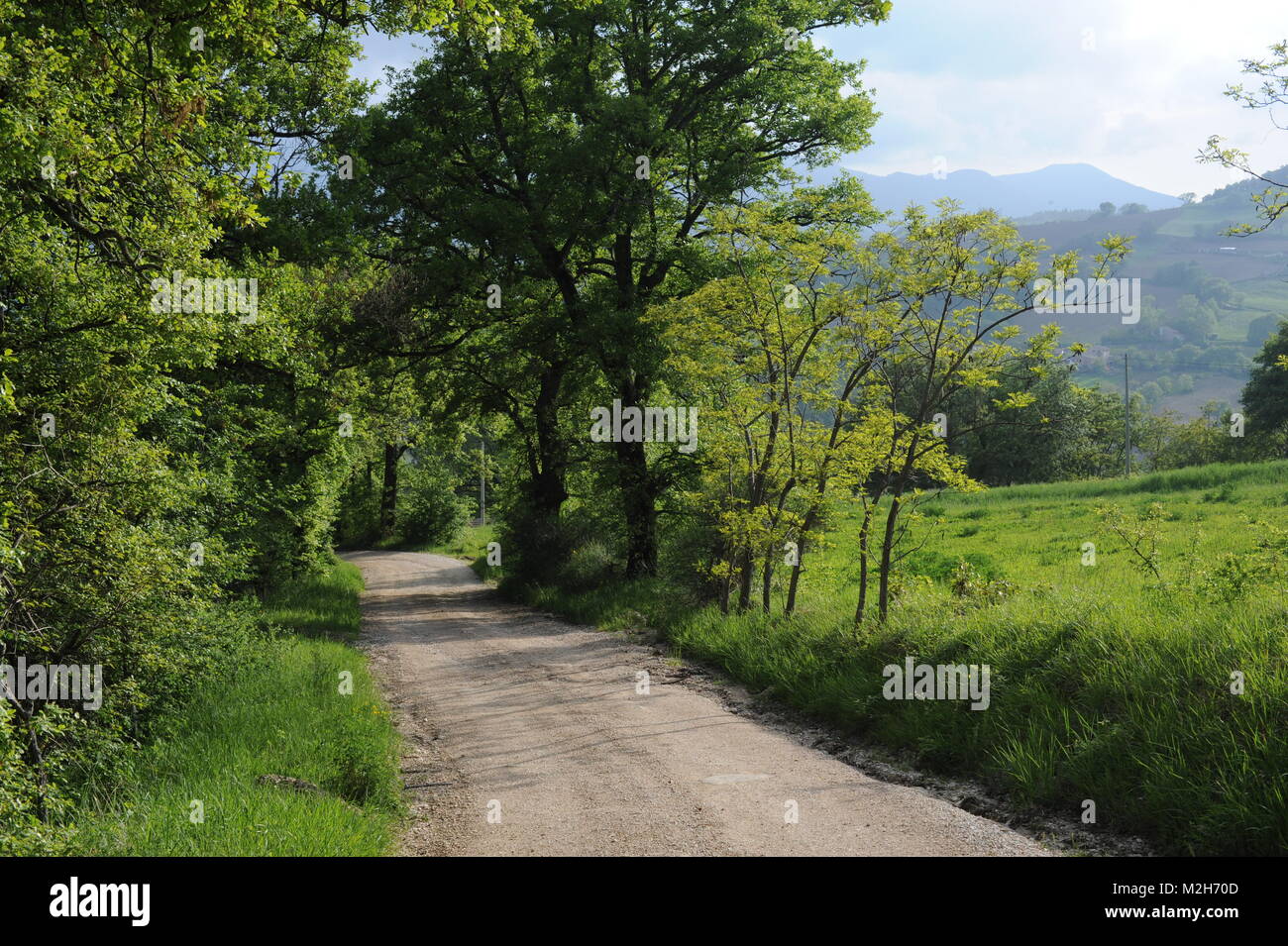 The road to San Ginesio, Le Marche, Italy Stock Photo
