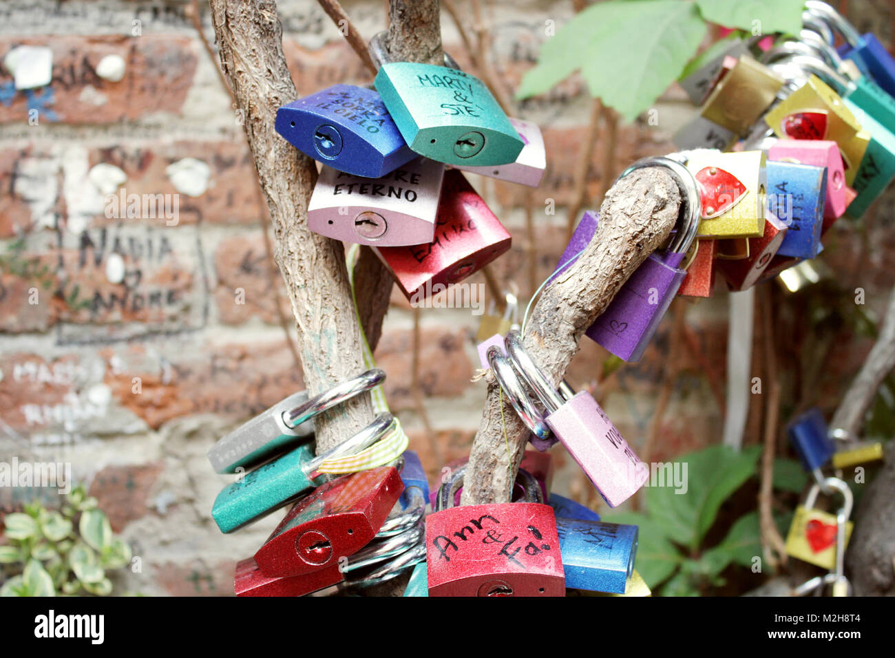 Detail of colored padlocks hanging from a tree in Verona at the house of Capulet Stock Photo