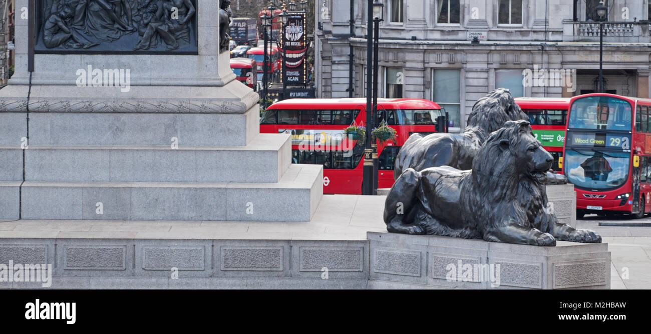 London buses with their distinctive red livery proceeding around Trafalgar Square under the gaze of two of the lions at the foot of Nelson’s Column Stock Photo