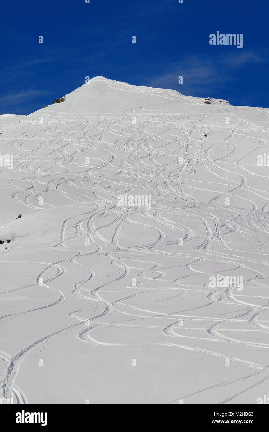 multiple ski tracks in new powder snow on mountainside Stock Photo - Alamy