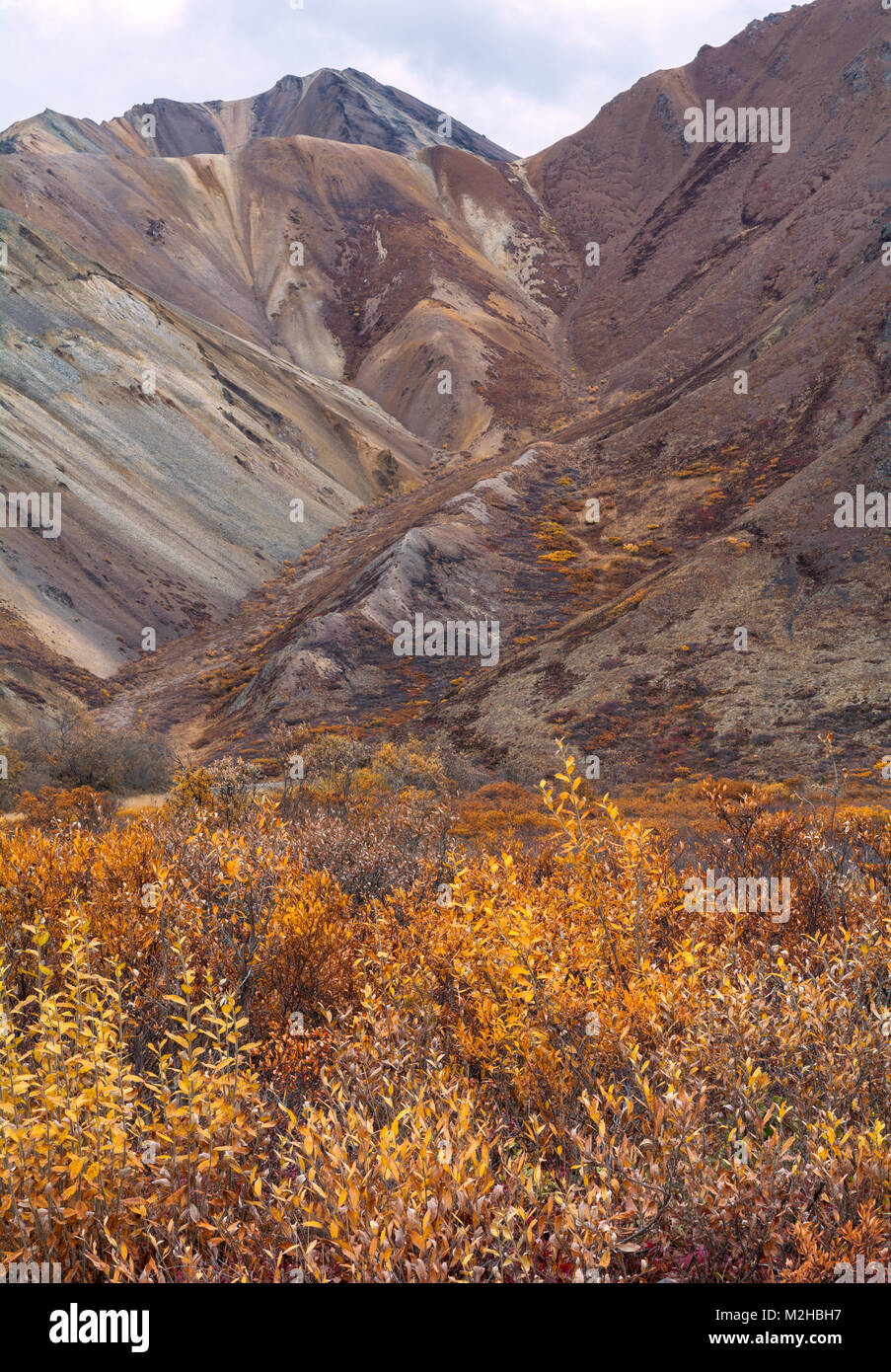 Erosion has slid gravel to cover the steep slopes of a ravine with brush in autumn colors struggling to maintain a foothold. Stock Photo