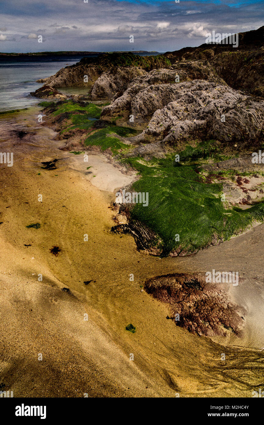 Rocks and seaweed on a sandy beach at Clonakilty, Ireland Stock Photo