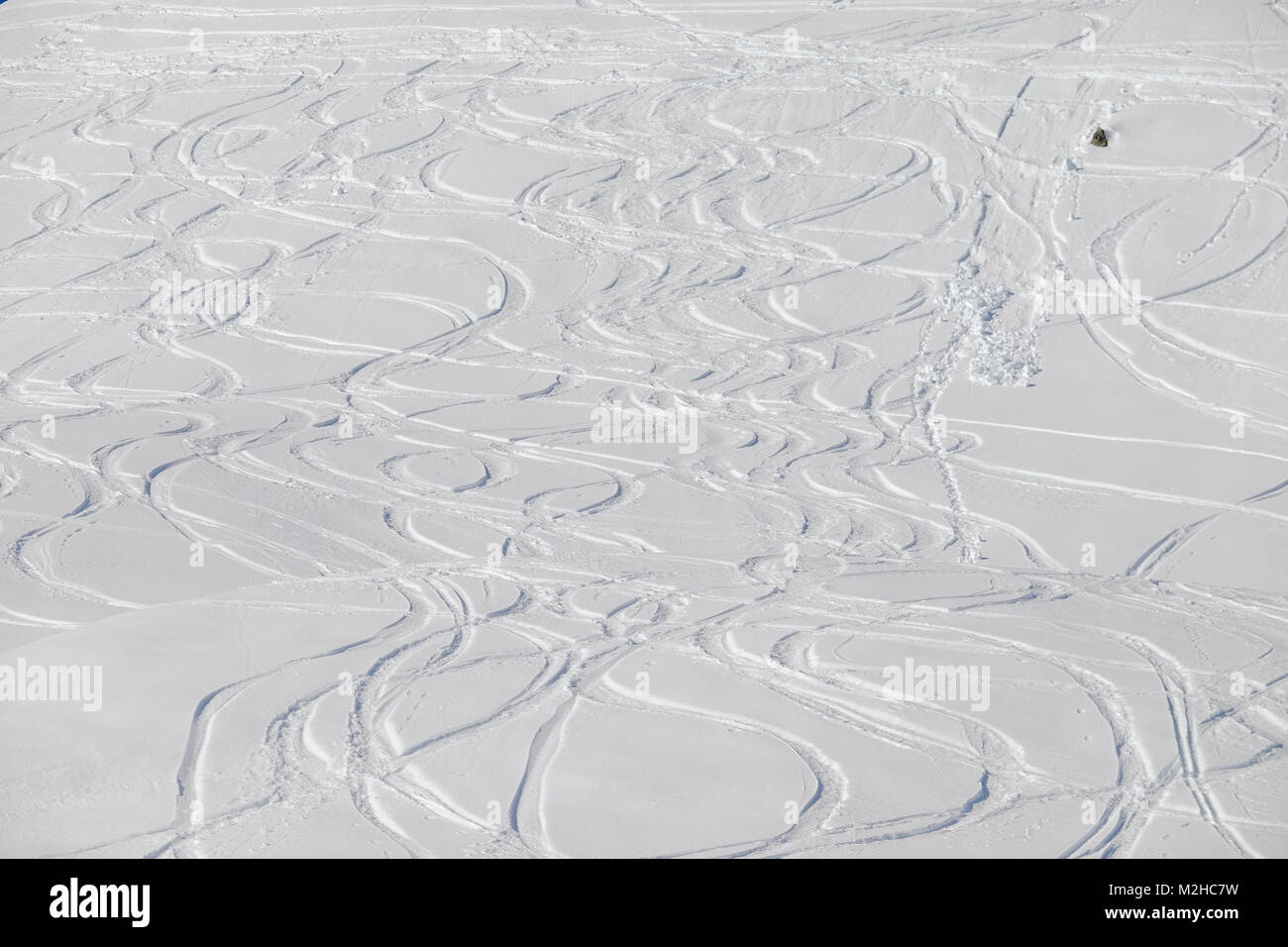 multiple ski tracks in new powder snow Stock Photo - Alamy
