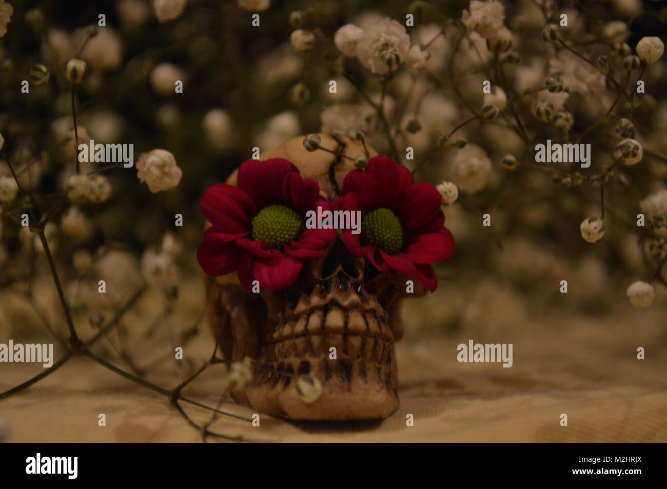 Day of the dead skull 3 Stock Photo