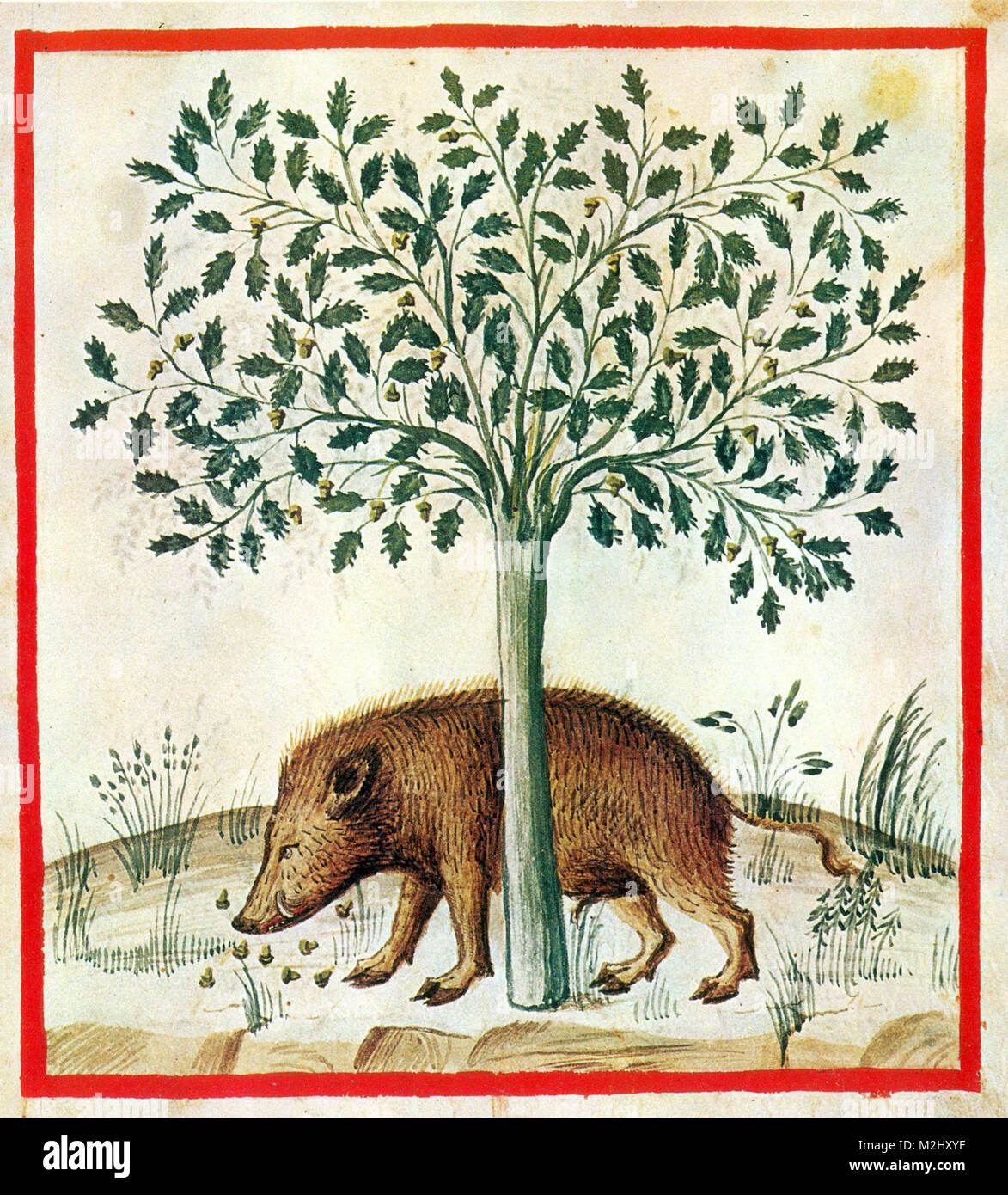 Medieval animal art tree hi-res stock photography and images - Alamy