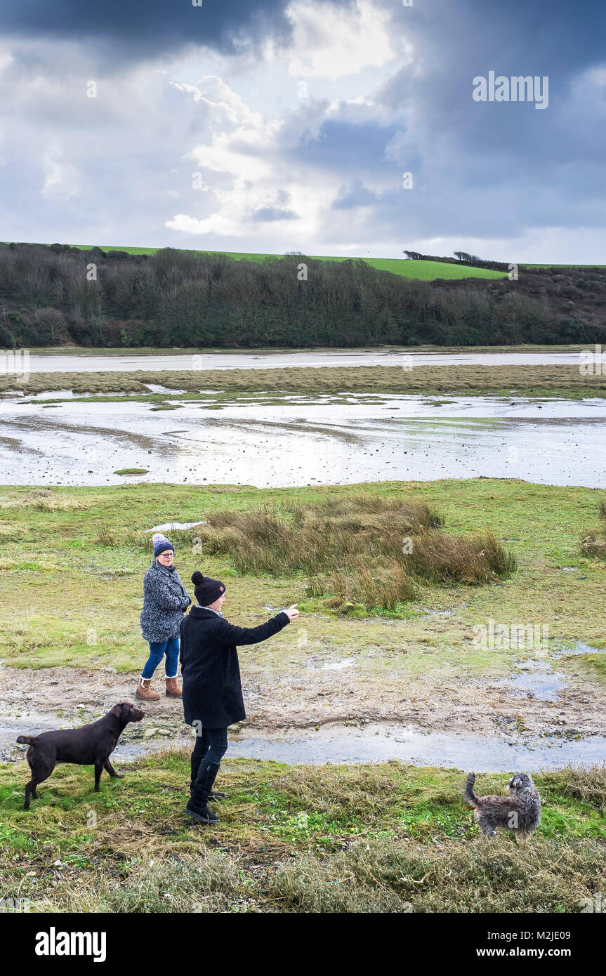 Dog walking - dog walkers and their dogs walking on the foreshore of the Gannel River in Newquay Cornwall. Stock Photo