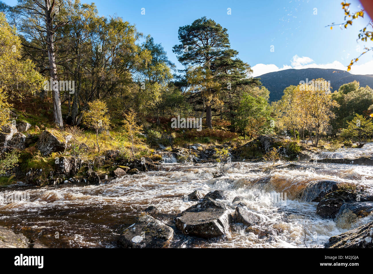 The beauty of Scotland's rivers Dog Falls in Glen Affric the Scottish Highlands Stock Photo