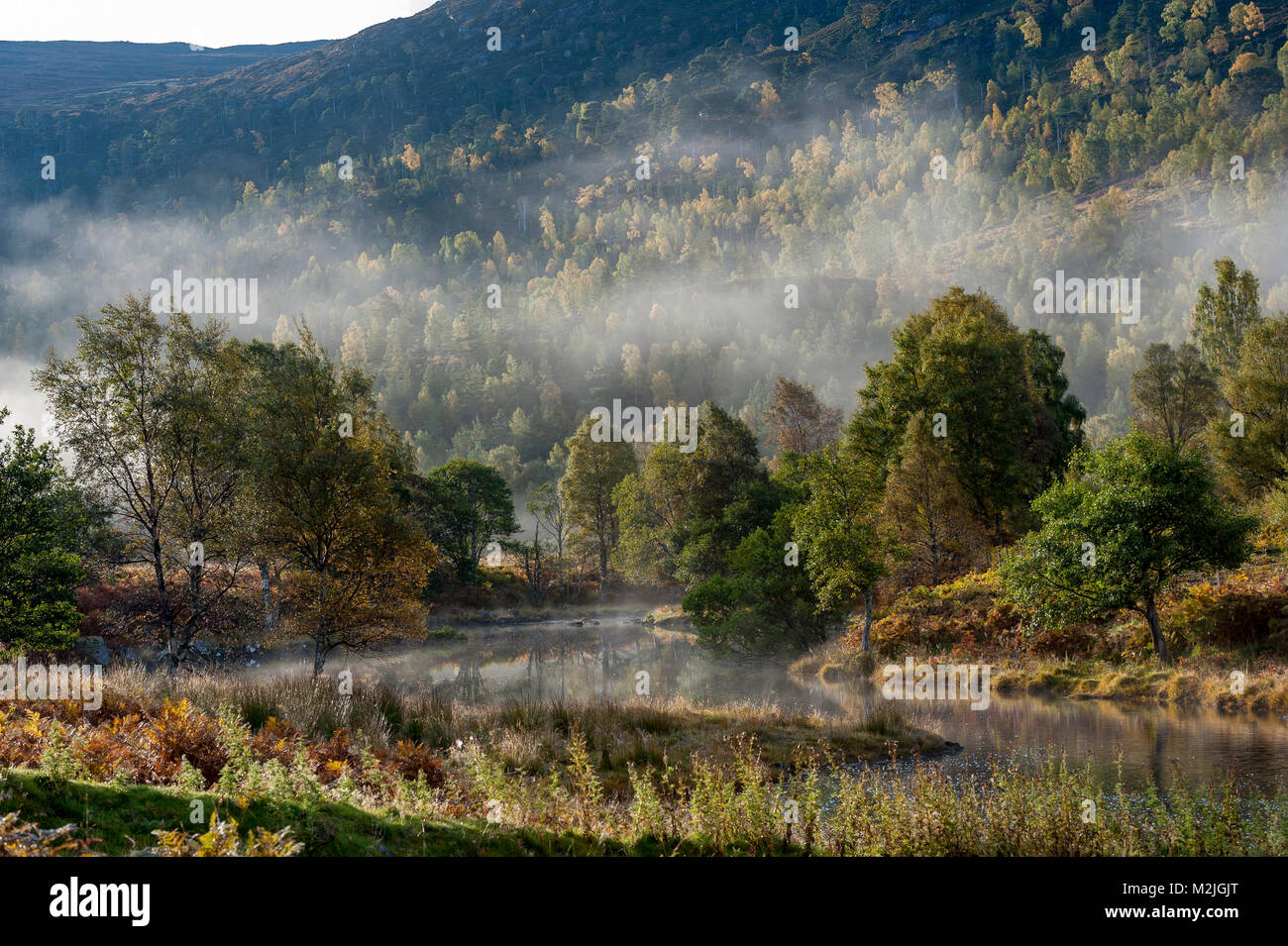 Strathglass hires stock photography and images Alamy