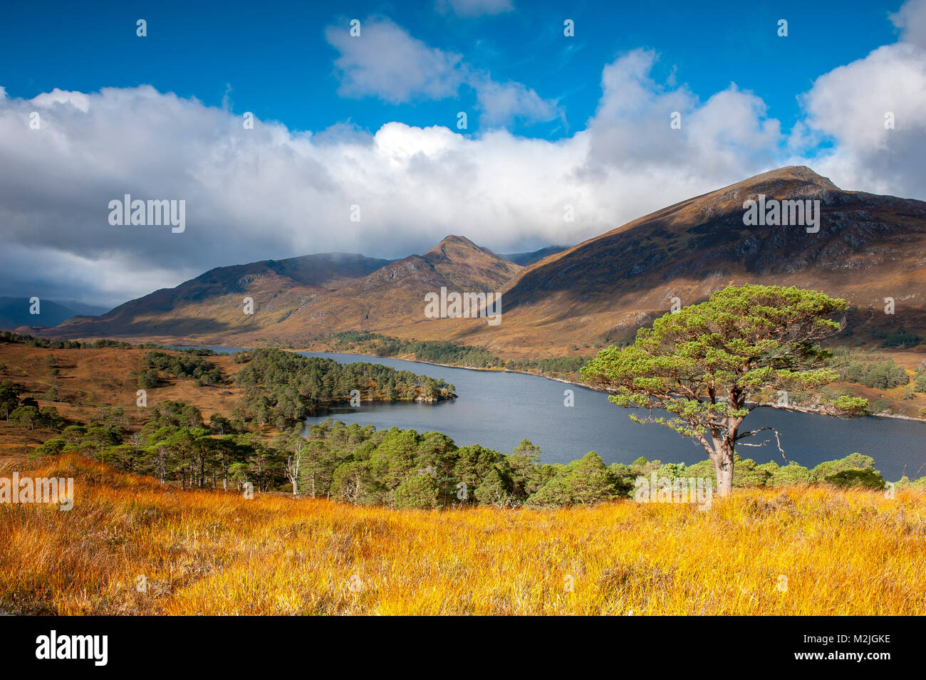 The beauty of Scotland Glen Affric Scottish Highlands Scotland UK Stock Photo Alamy