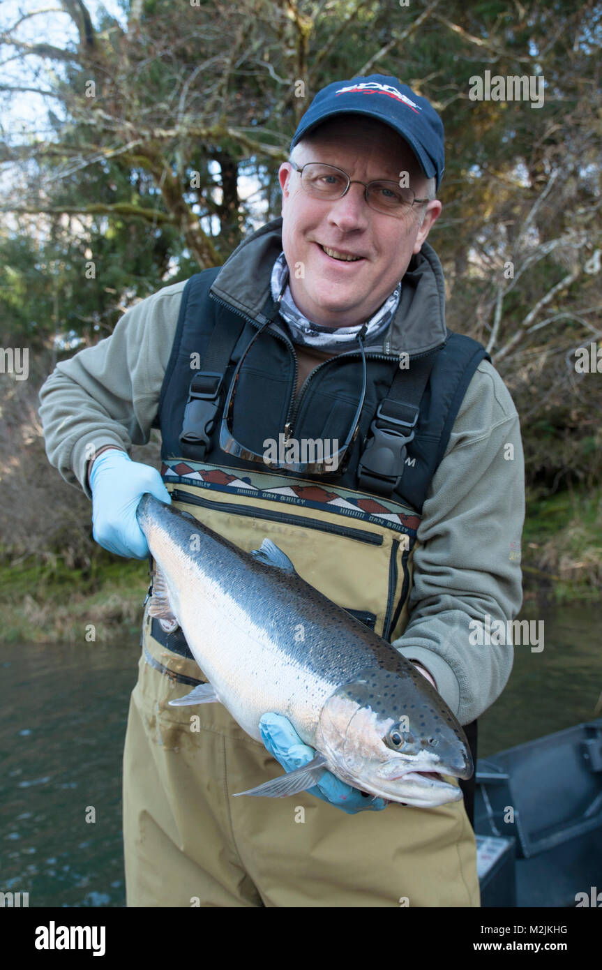 Steelhead fishermen with a hatchery beard Steelhead caught on the