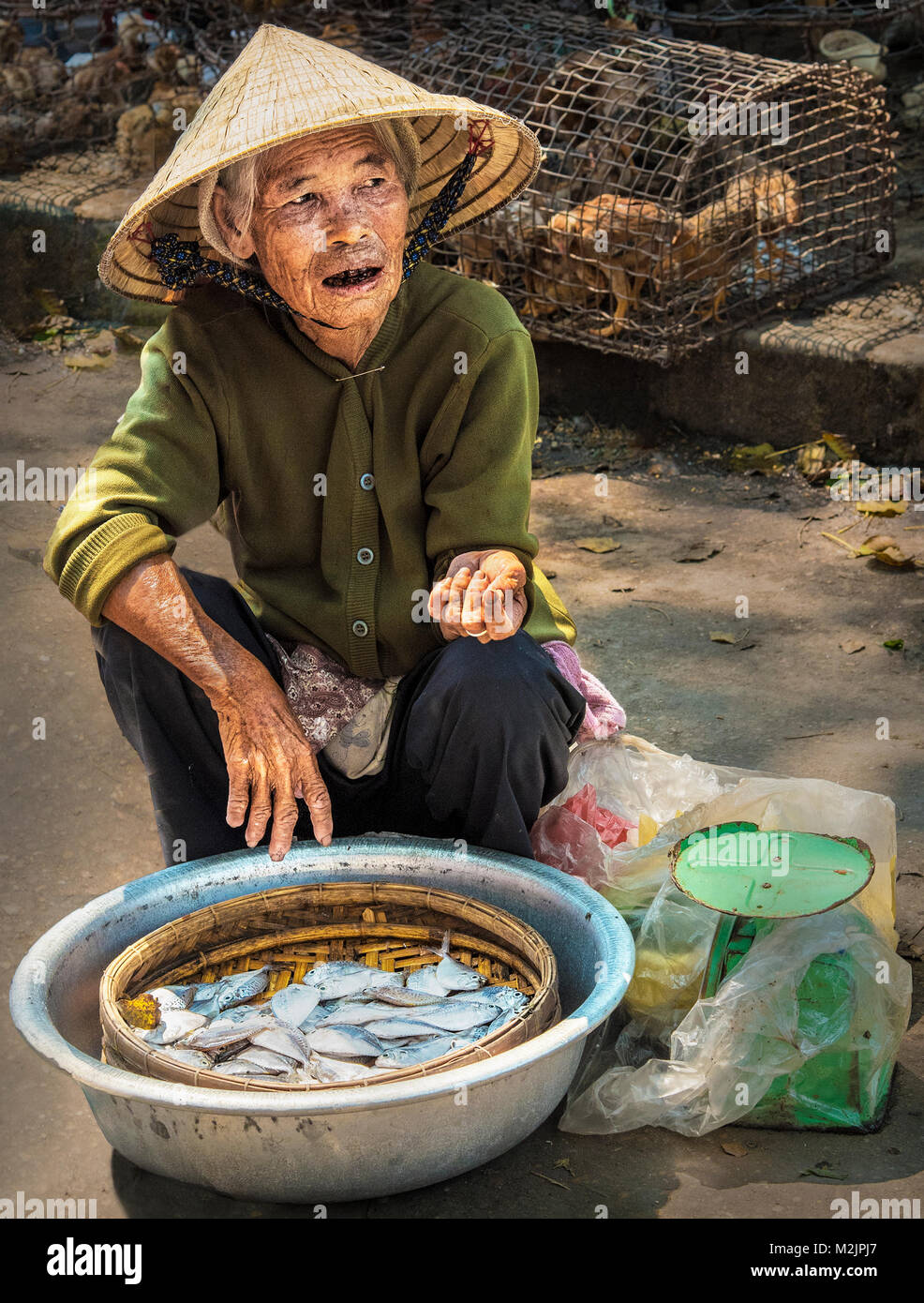 Elderly Vietnamese lady selling fish from a small bowl in the street market of Hoi An  everyday lifeVietnam Asia. Stock Photo