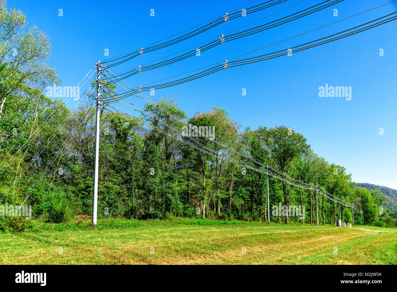 Horizontal shot of  high voltage power lines next to some green trees. Stock Photo