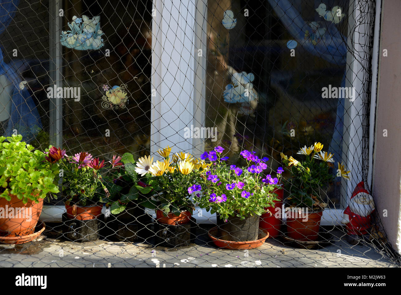 Window of a flat in Berlin-Neukoelln: GERMANY, BERLIN, (c) J.A.Fischer - Gross Wittfeitzen 8 - 29496 Waddeweitz - phone 015201849739 Stock Photo