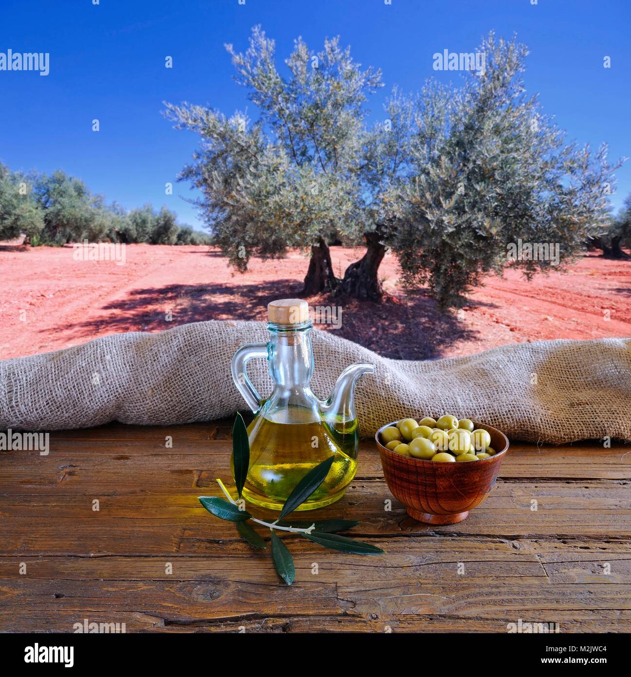 Olive oil on a table in the olive grove. Stock Photo