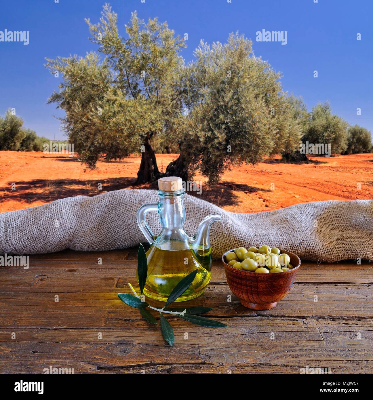 Spain olive oil grove hi-res stock photography and images - Alamy