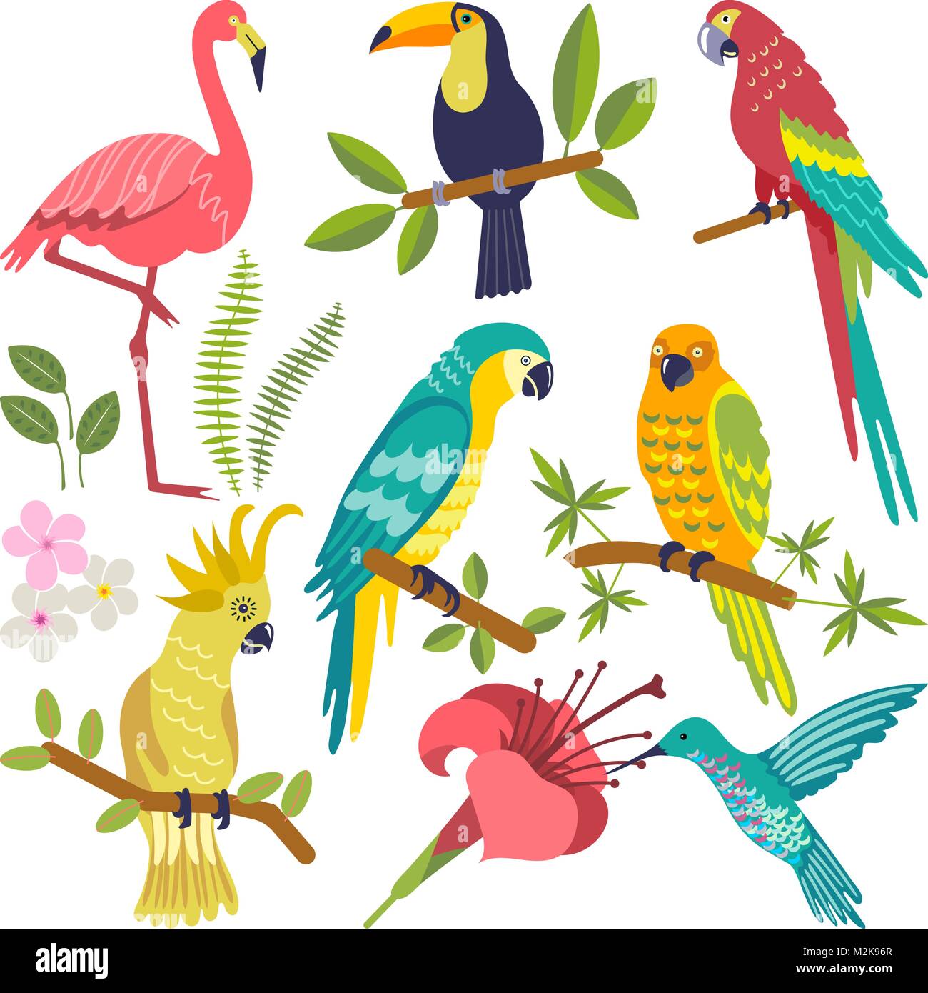 Set Of Tropical Birds Stock Vector Image And Art Alamy