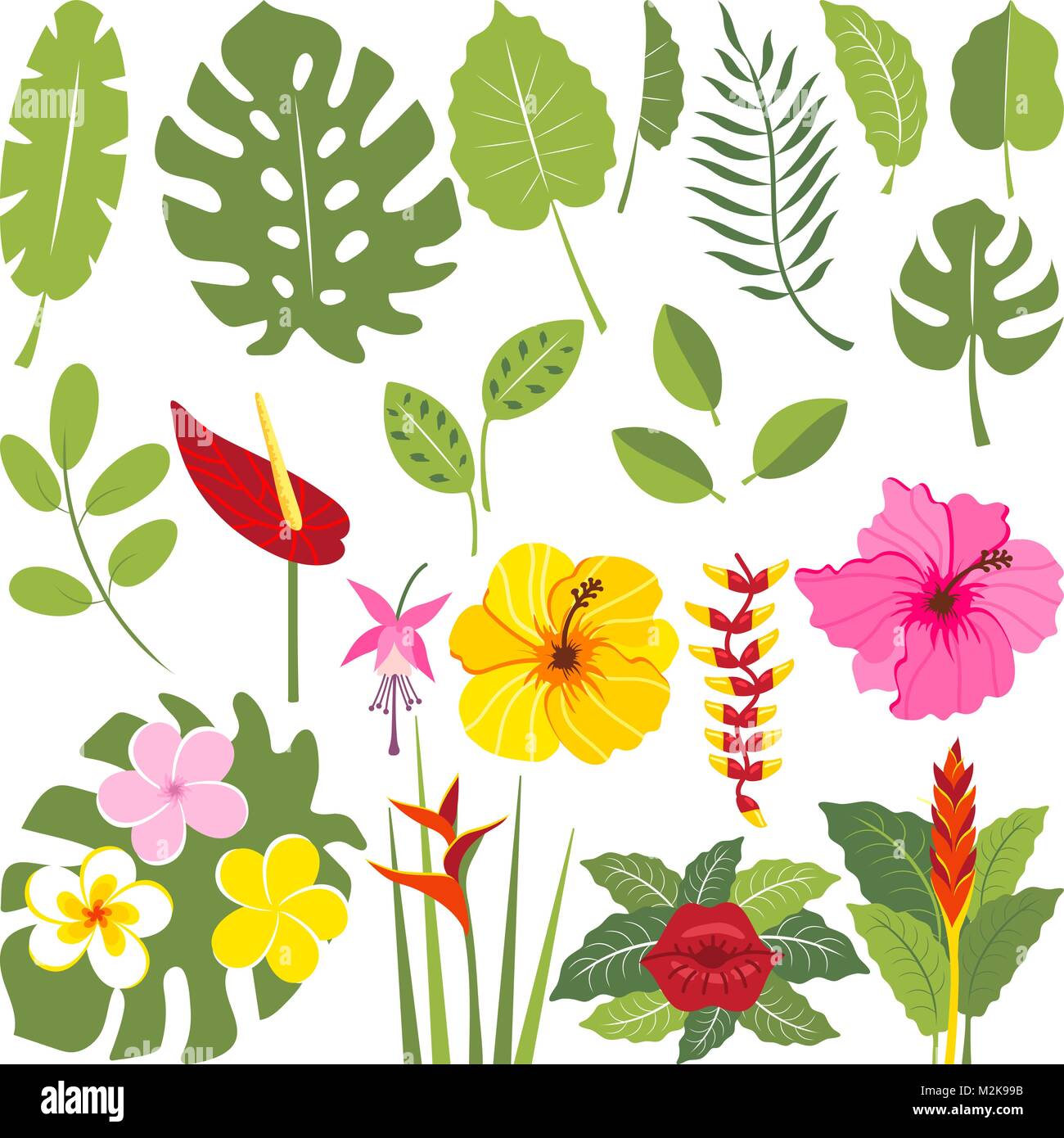 Jungle Flowers Clipart