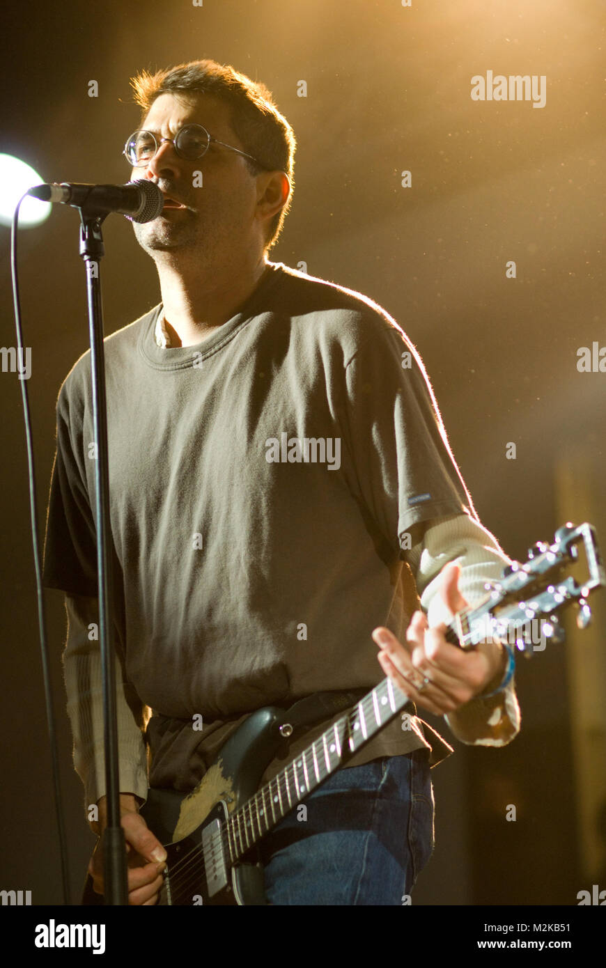 Steve albini guitar sale strap