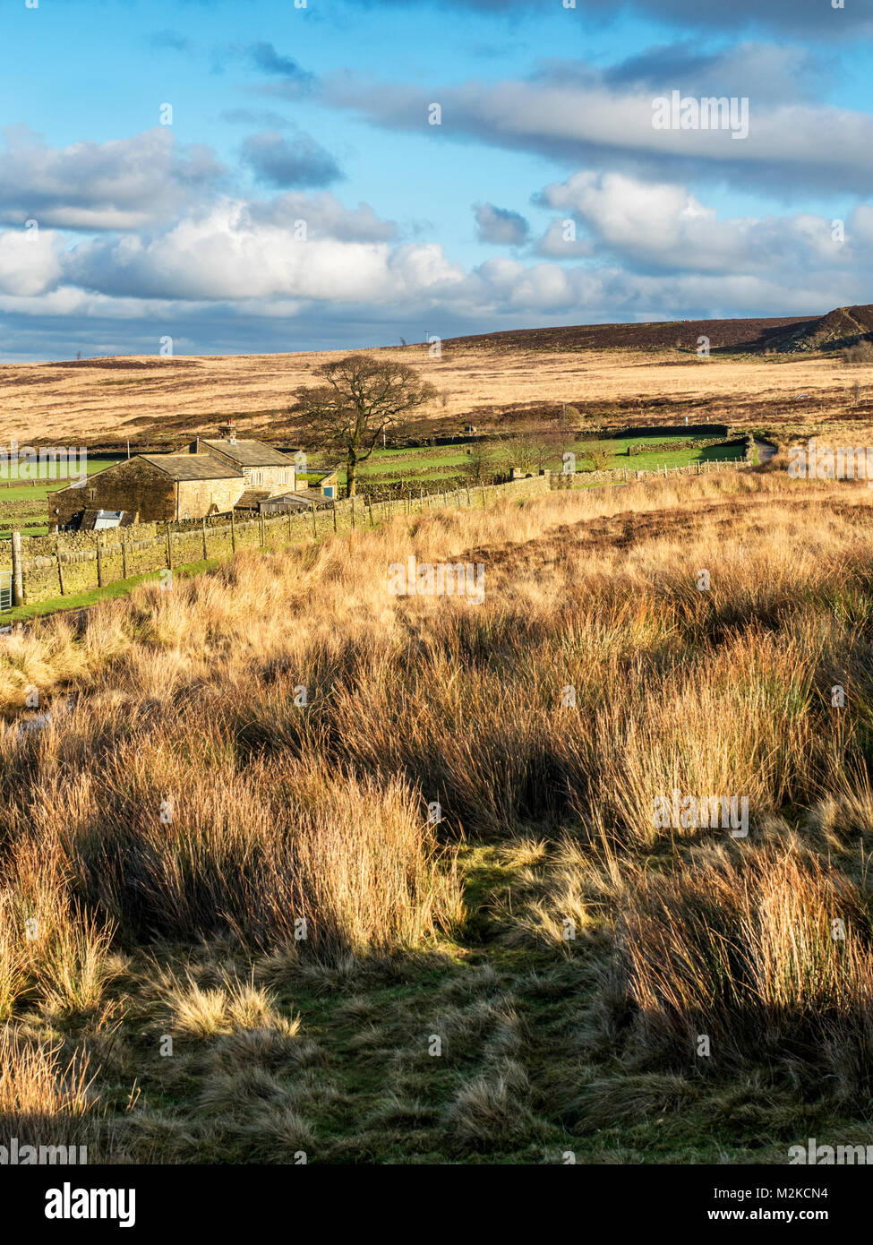 Farm by the Bronte Way on Haworth Moor near Haworth West Yorkshire