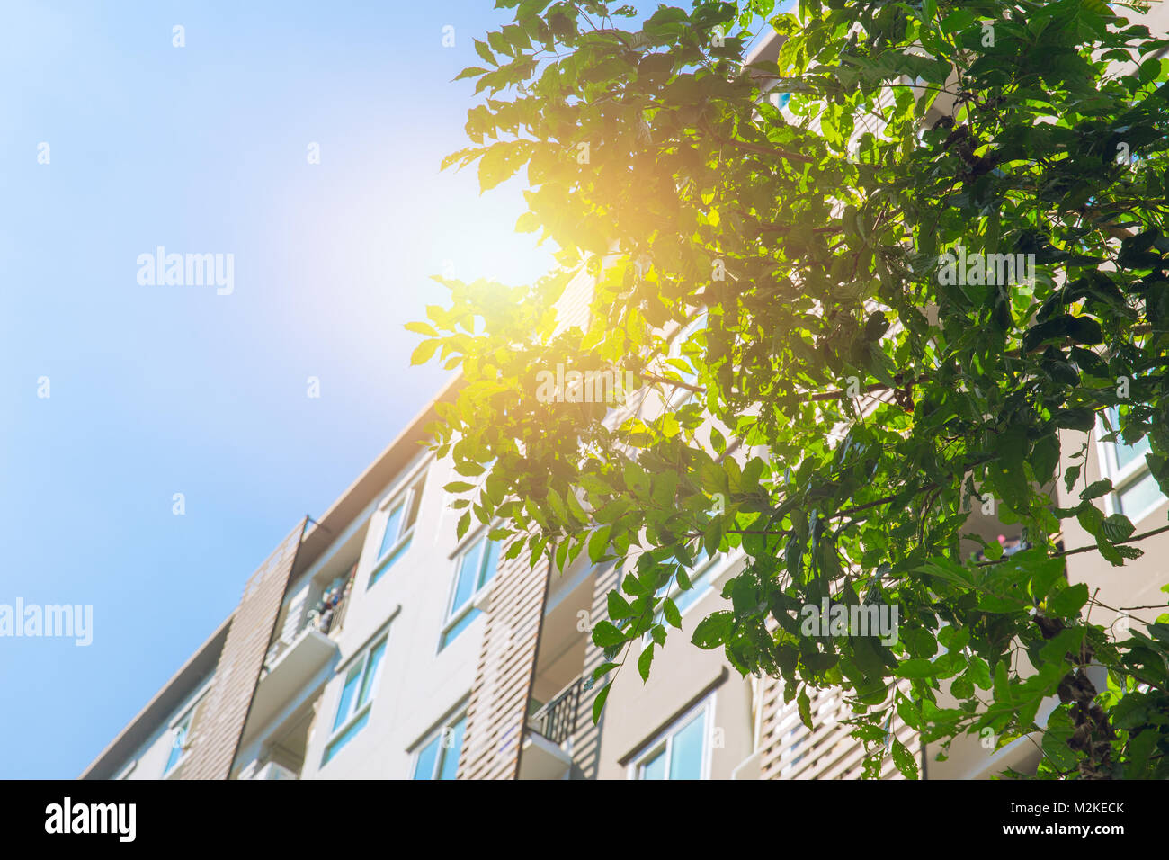View of Green community Eco apartment building saving energy and fresh air ...