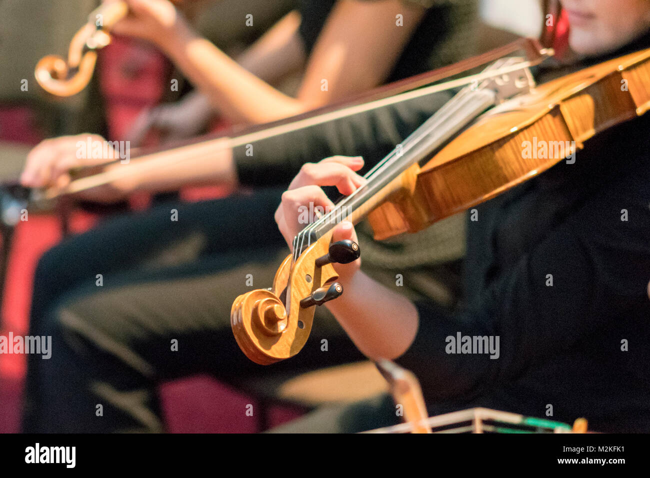 Hand on the strings of a violin Stock Photo Alamy