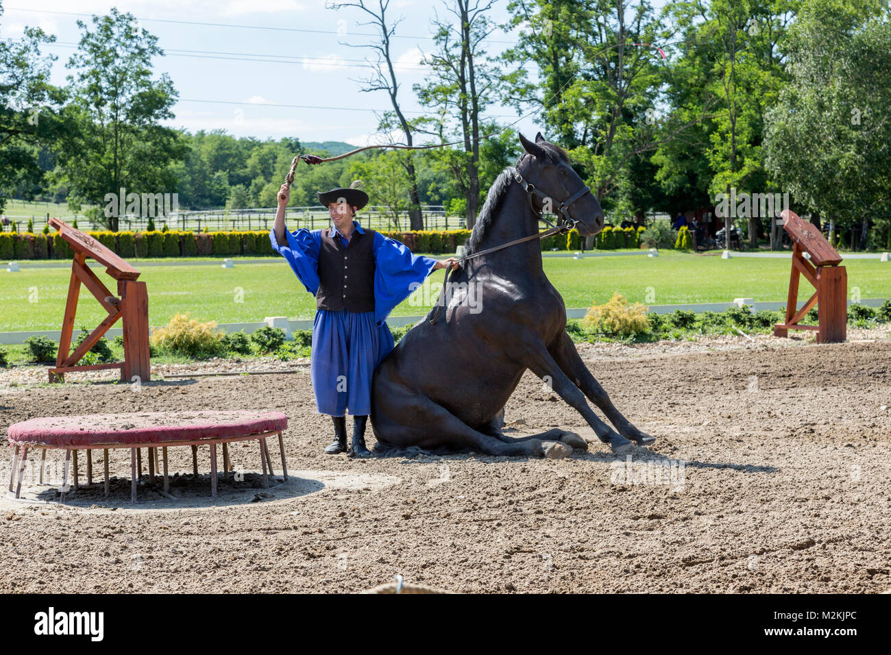Hungarian horseman leans against his horse sitting in a funny trick at horse show in Budapest Hungary countryside. Stock Photo