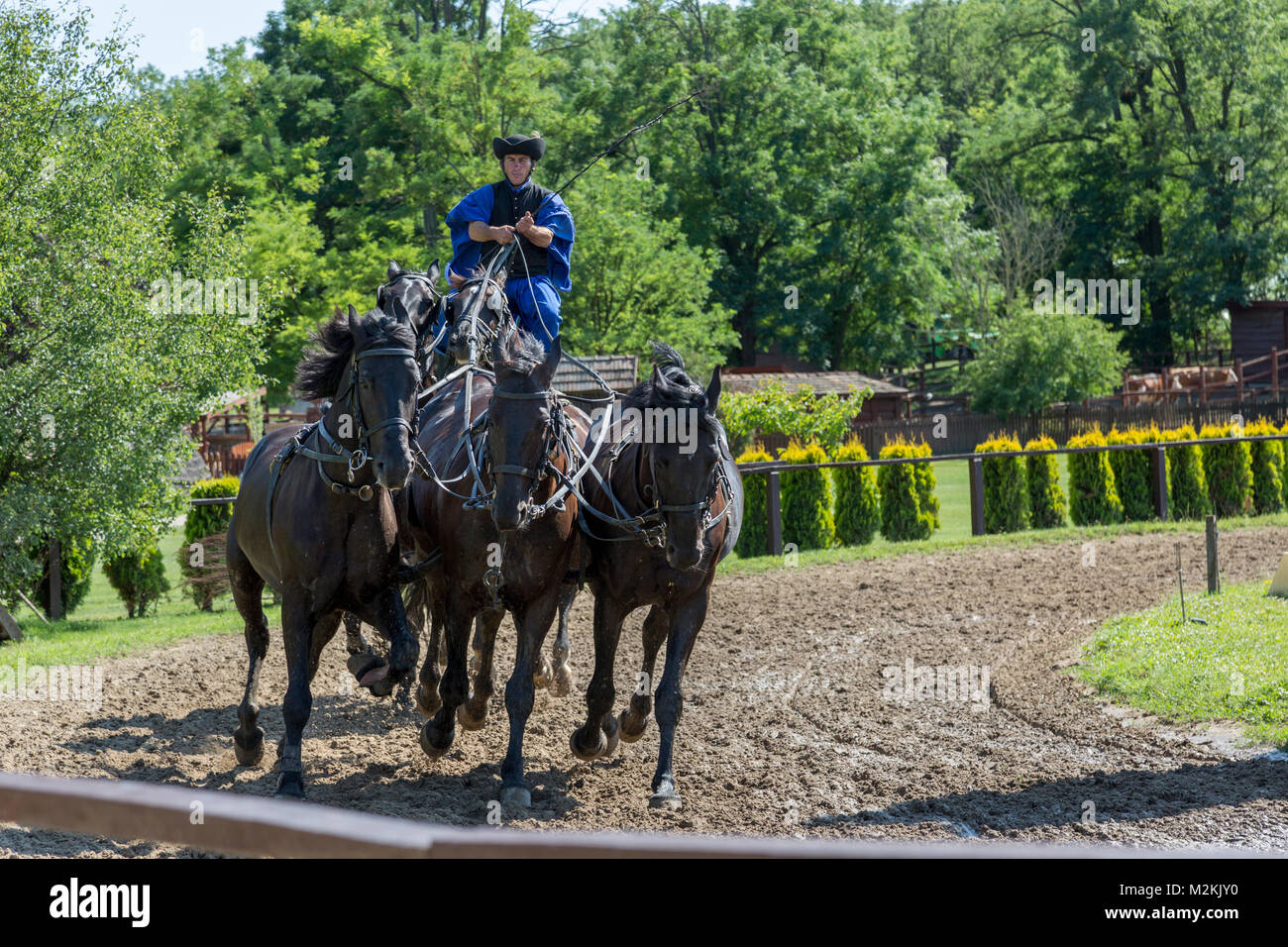 Team costume hi res stock photography and images Alamy