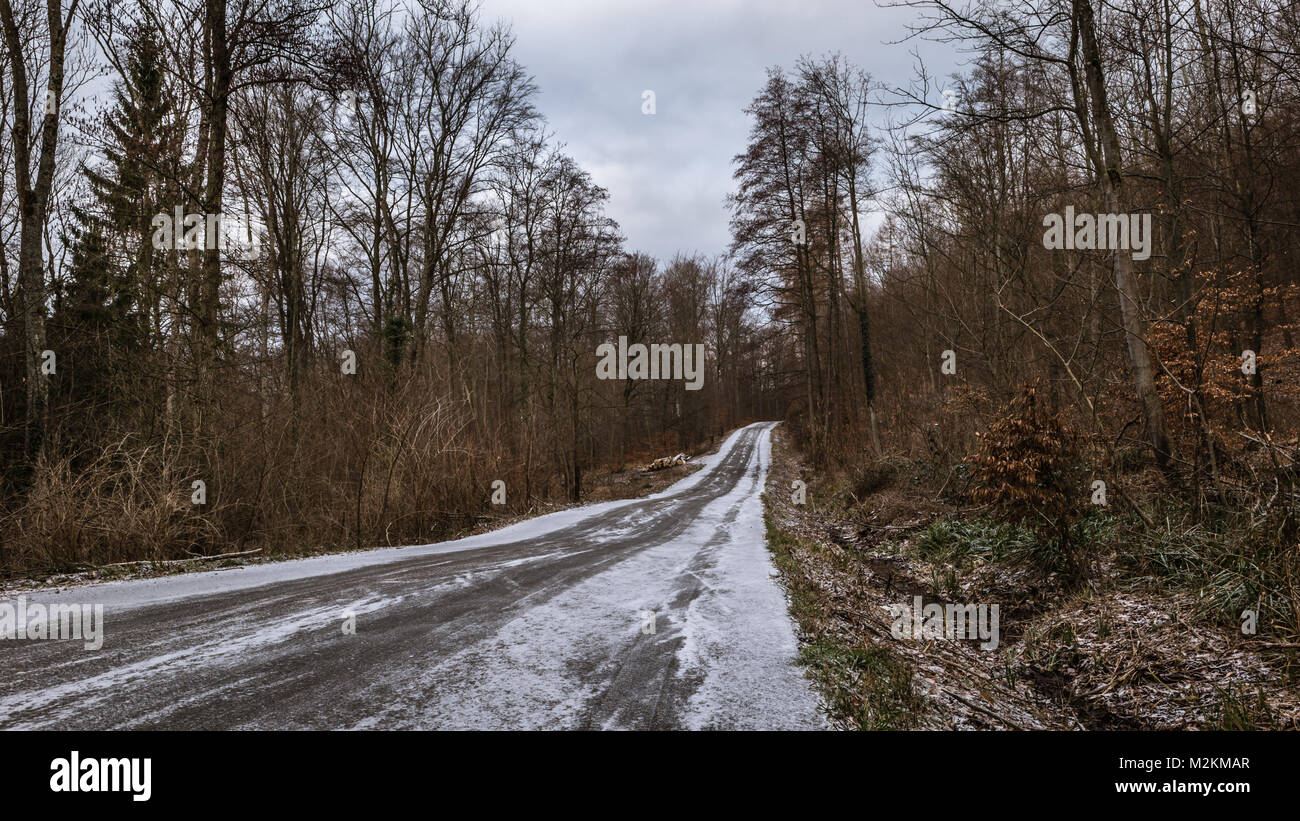 Frosty Forest, Germany Stock Photo