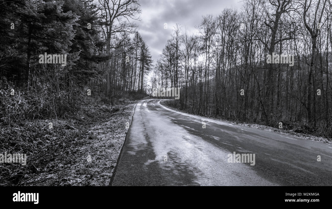 Frosty Forest, Germany Stock Photo