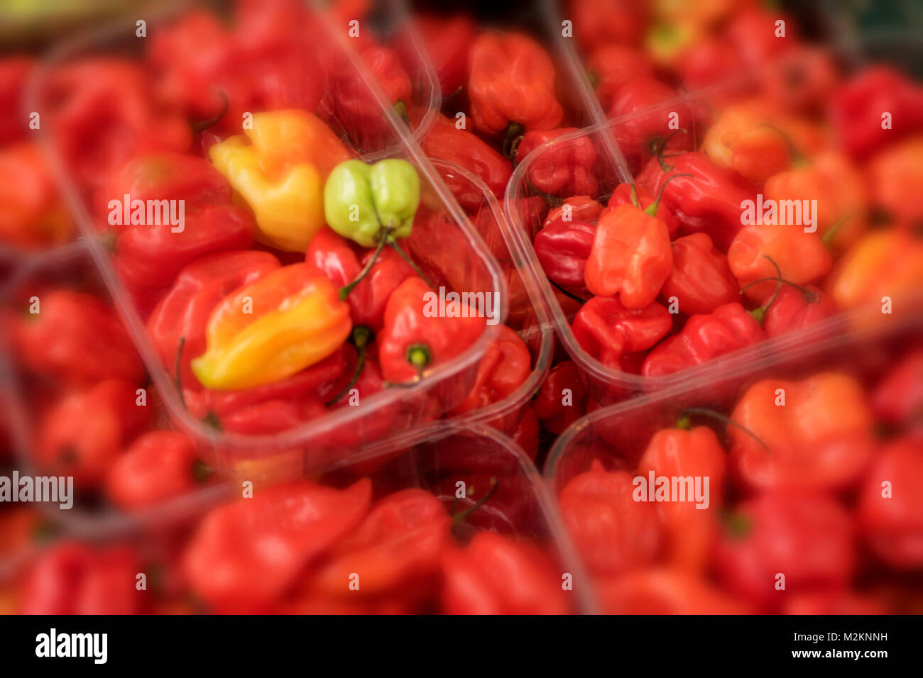 Jamaican Scotch peppers portioned out in trays for sale in urban