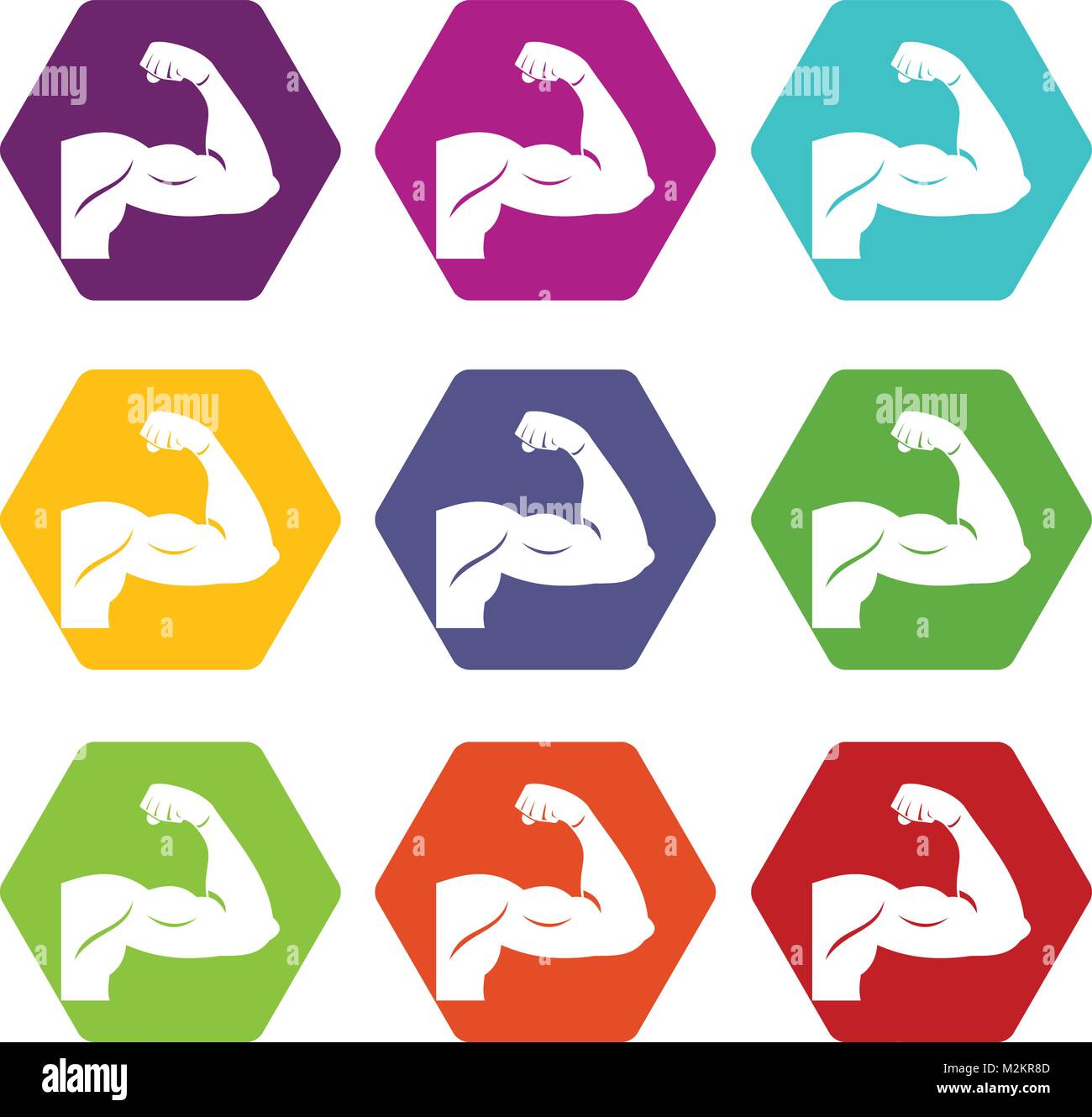 Biceps icon set color hexahedron Stock Vector