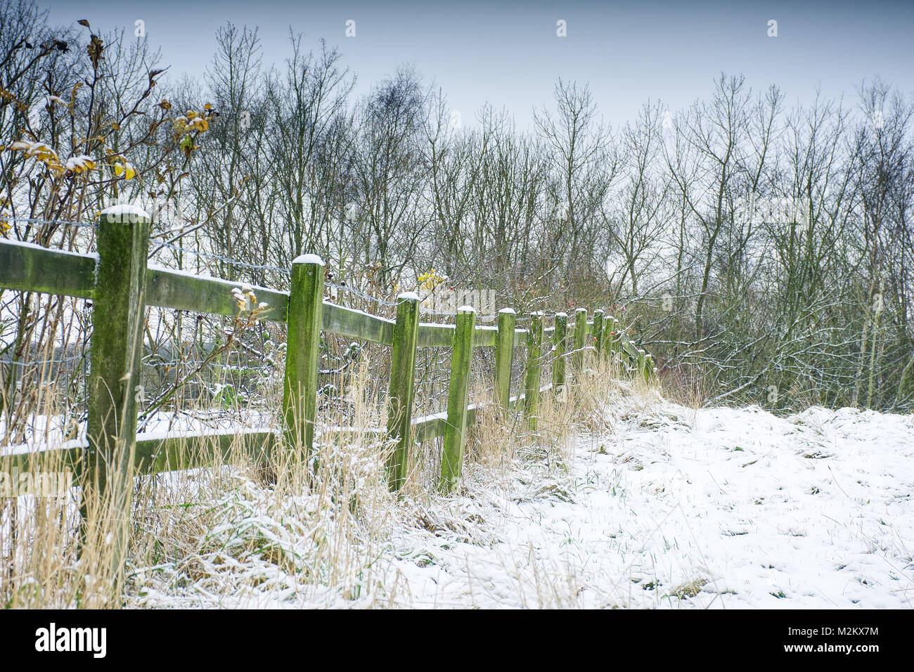 Winter scenery,field with wooden fence on British countryside covered with snow,trees in background,Stoke on Trent,Staffordshire,United Kingdom. Stock Photo