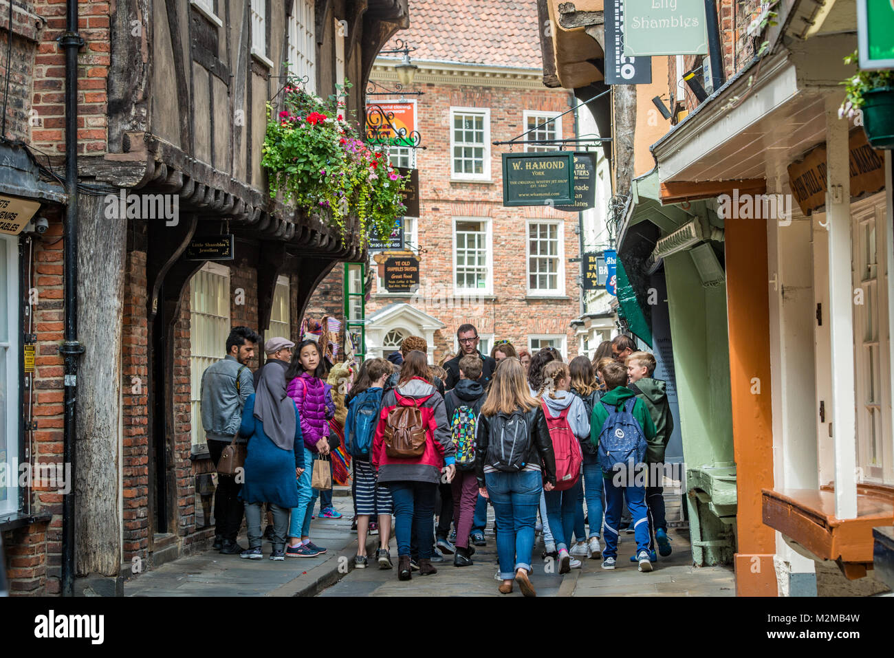 A group of school children crowd around adult male teacher on the historic street Shambles that features overhanging timber-framed building dating bac Stock Photo