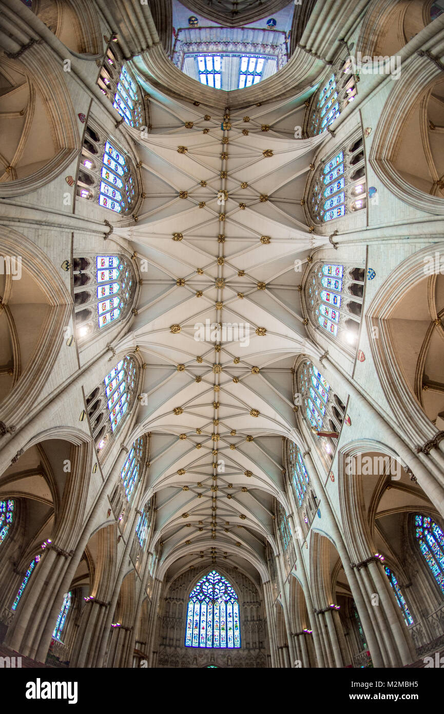 Ceiling of nave in York Minster from directly below, York, Yorkshire, United Kingdom Stock Photo