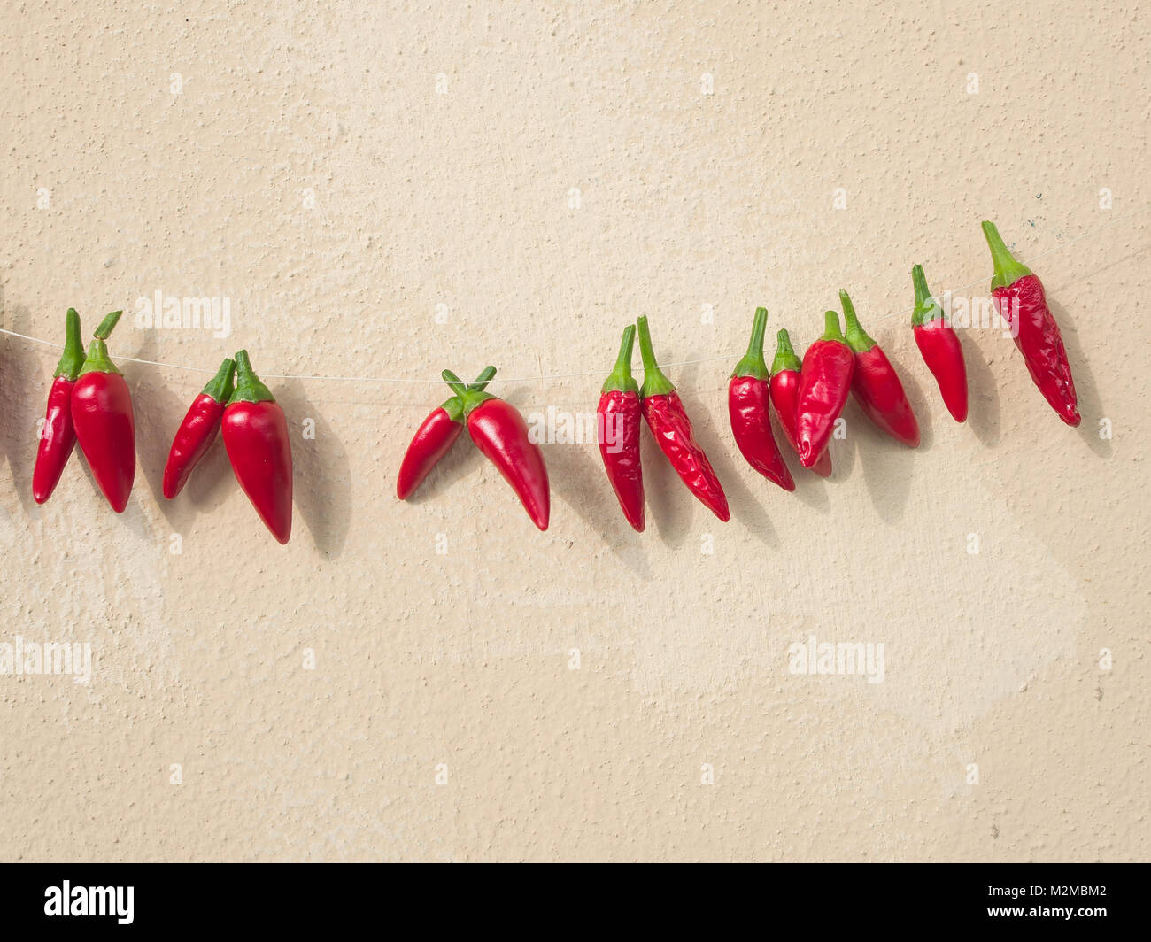 group of fresh ripe chili pepper hanging to dry in the sun on a string ...
