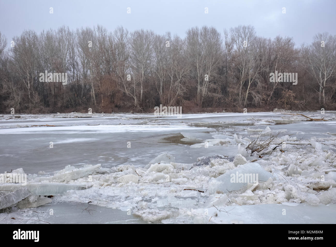 Spring flood, ice floes on the Tisza river in Hungary Stock Photo