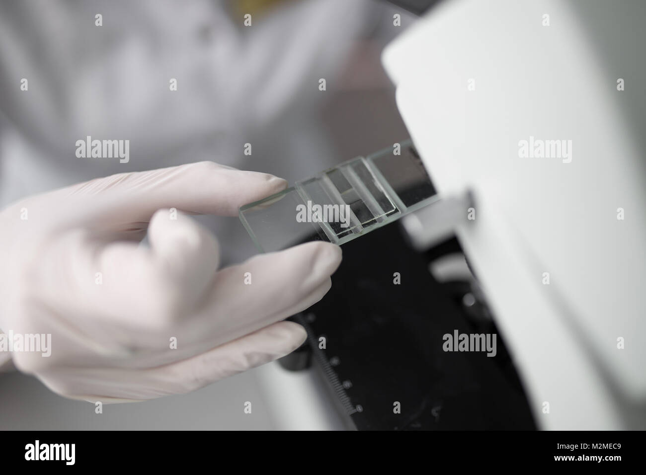 close up of scientist hands with microscope, examining samples in ...