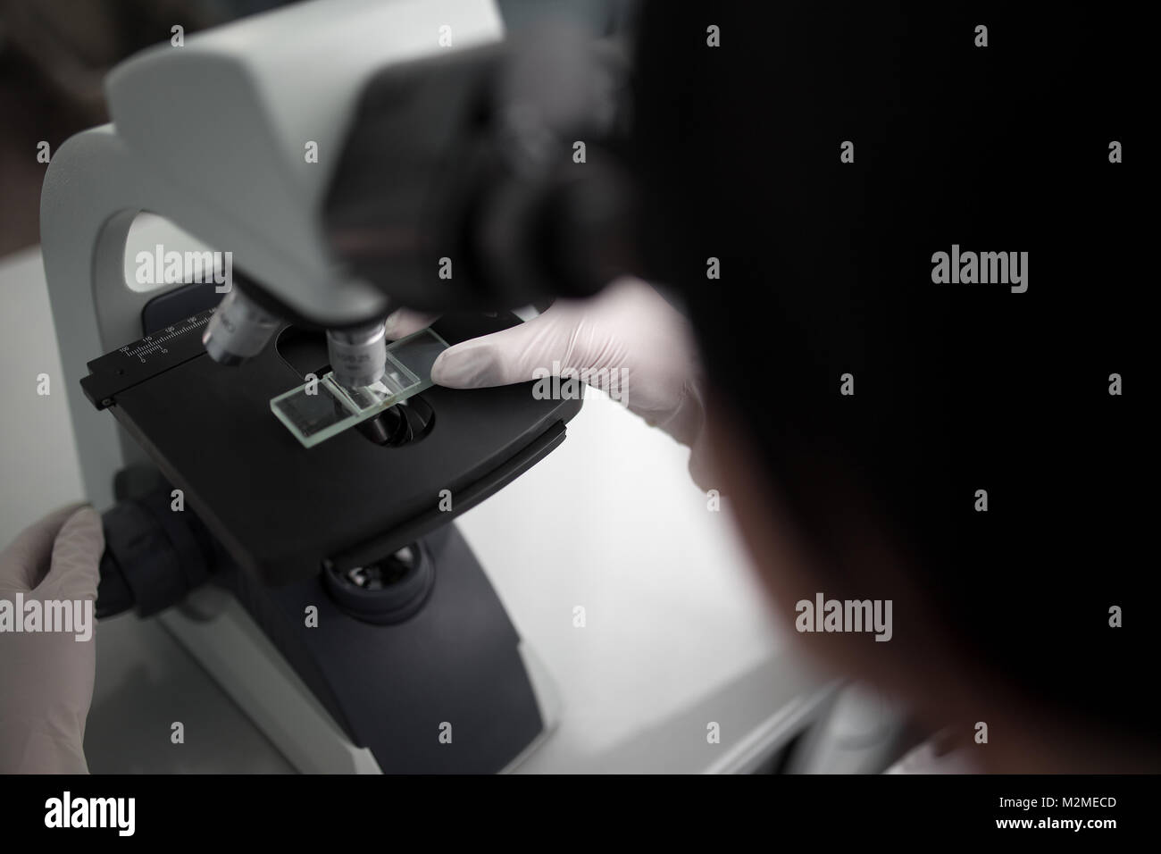 close up of scientist hands with microscope, examining samples in ...