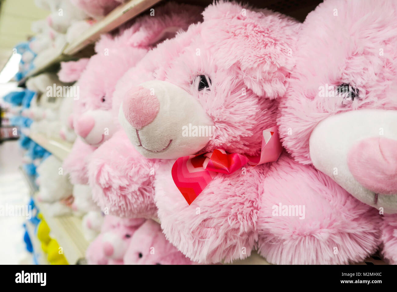 giant teddy bear australia kmart
