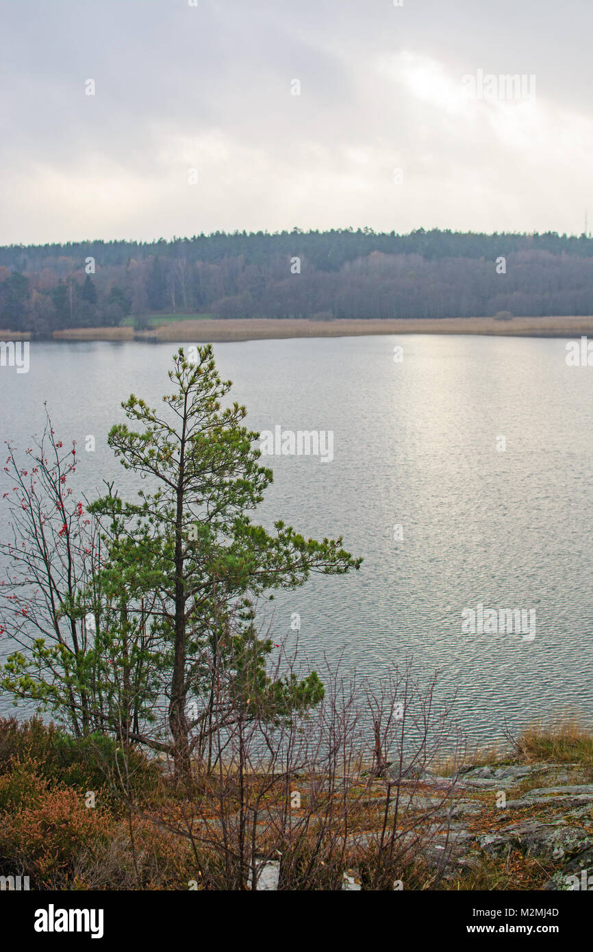 Lake landscape view by Lake Malaren, Sweden in November. Stock Photo