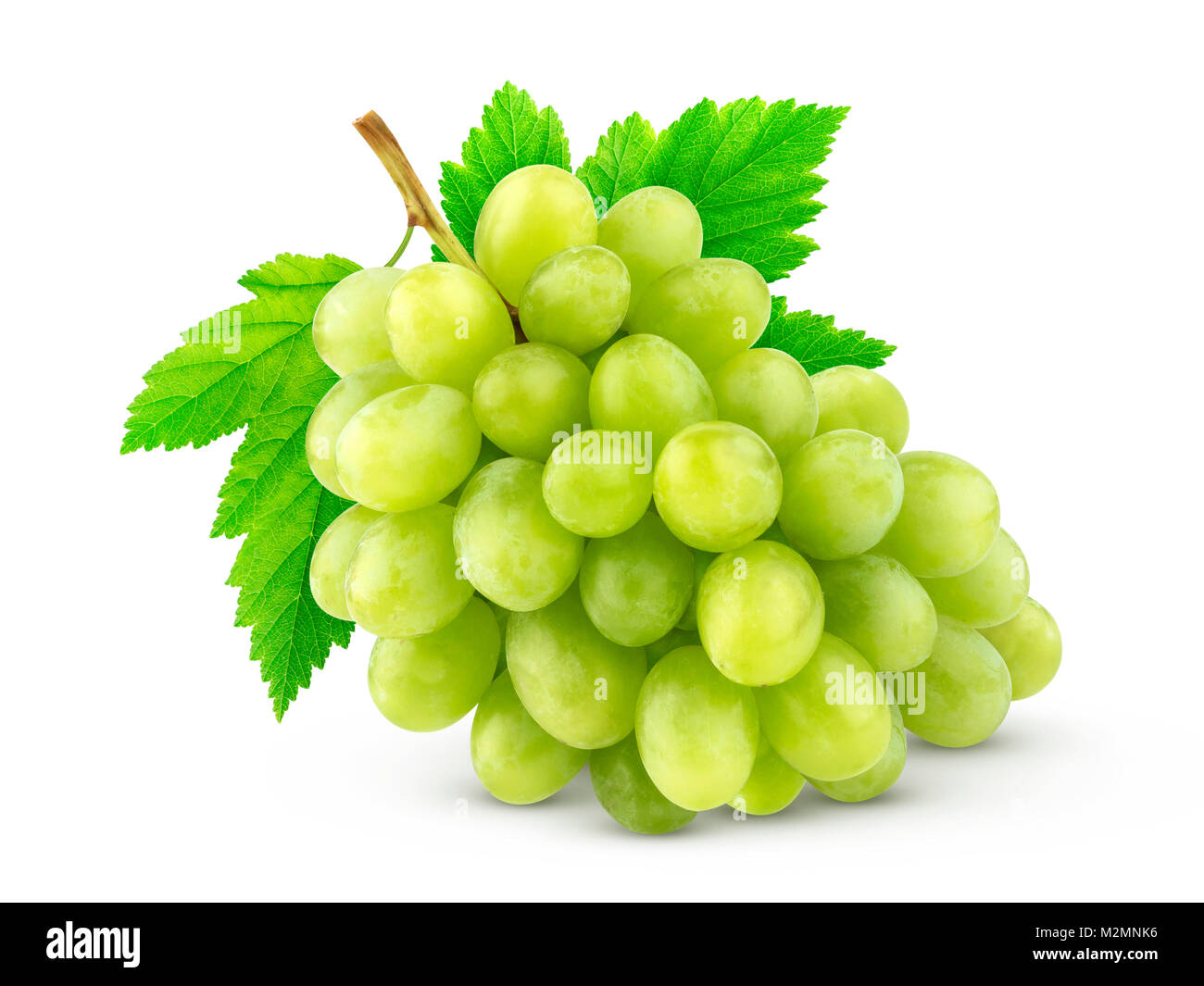 Green grape with leaves isolated on white background. Full depth of field. Studio shot Stock Photo